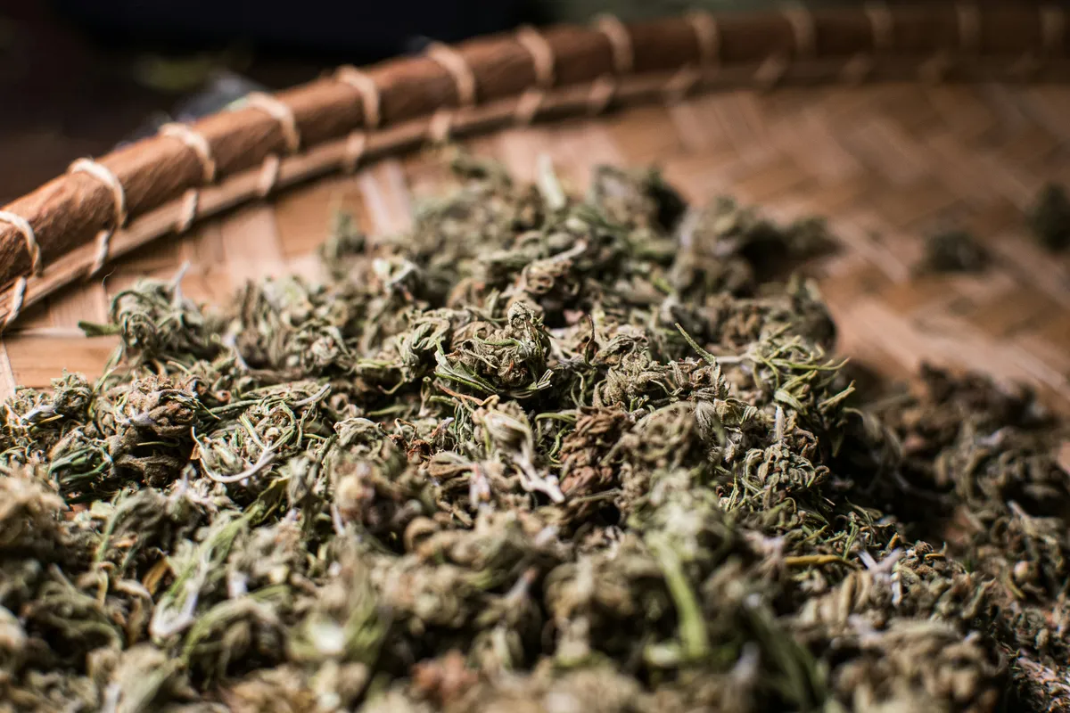 Dried plant material in a woven basket