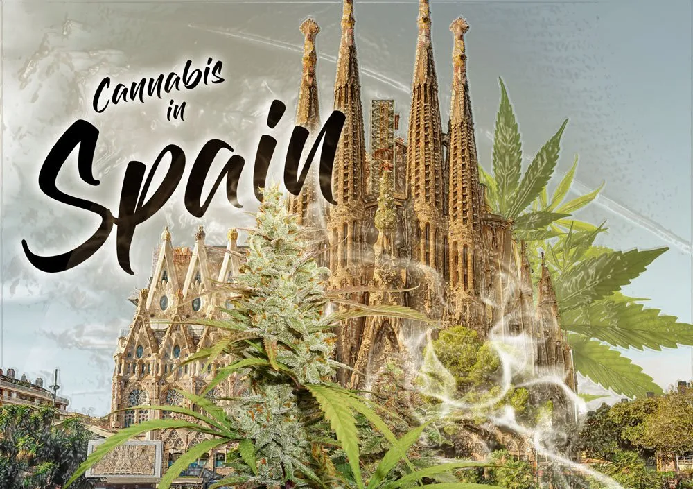 Cannabis-themed montage with Barcelona’s Sagrada Família